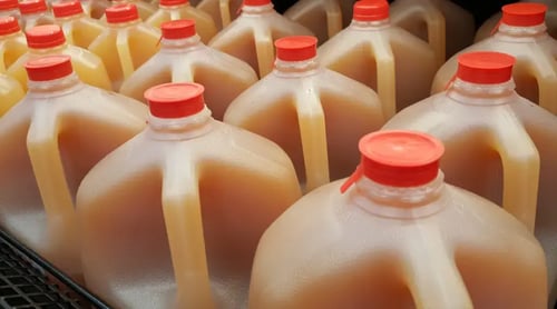 shutterstock_1713918715-1024x570